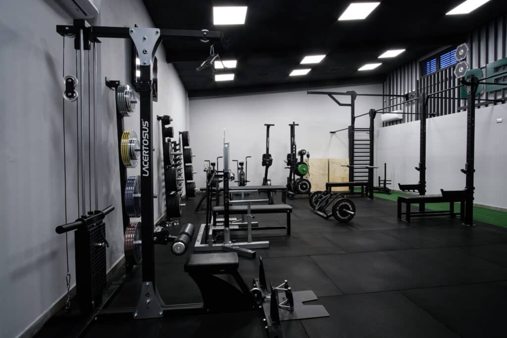 palestra-adaptive-strength-2