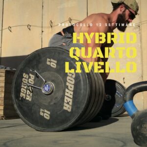 Protocollo Hybrid Quarto Livello &ndash; 12 settimane